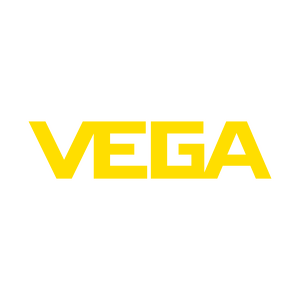 Team Page: VEGA Americas